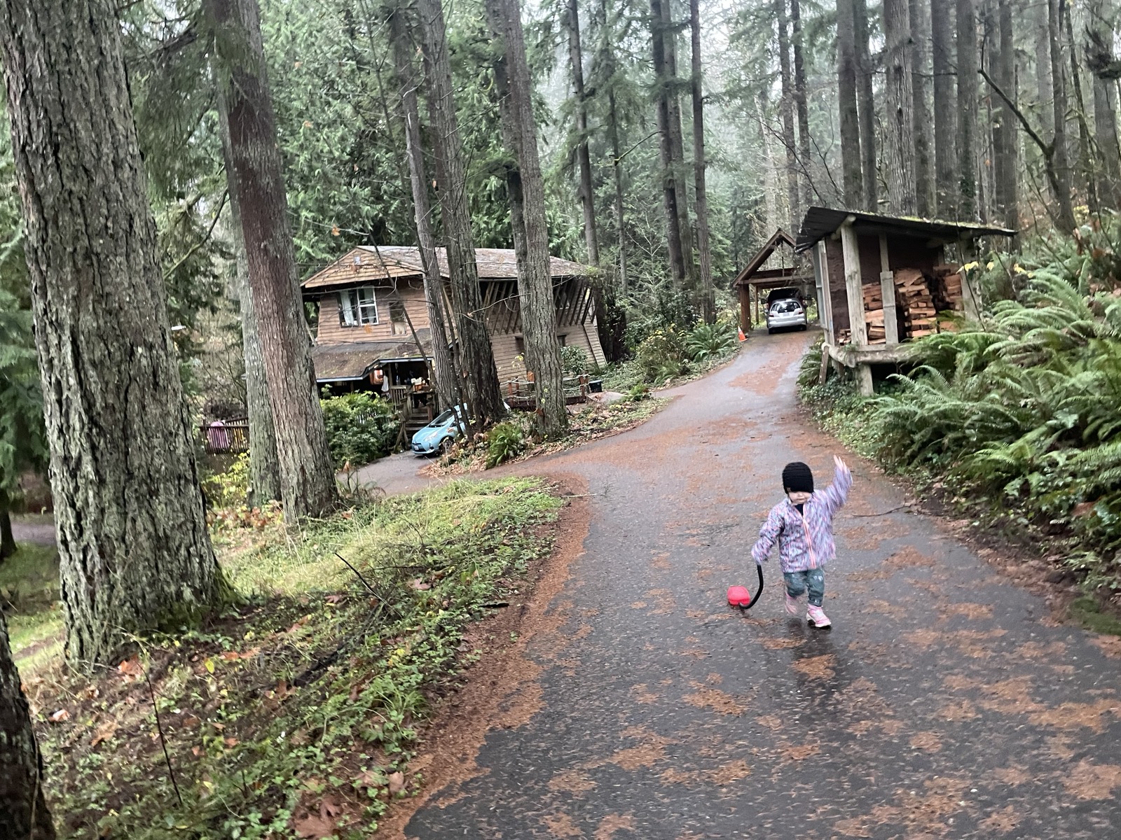 The land at Hidden Creek: forest, water and open ground.